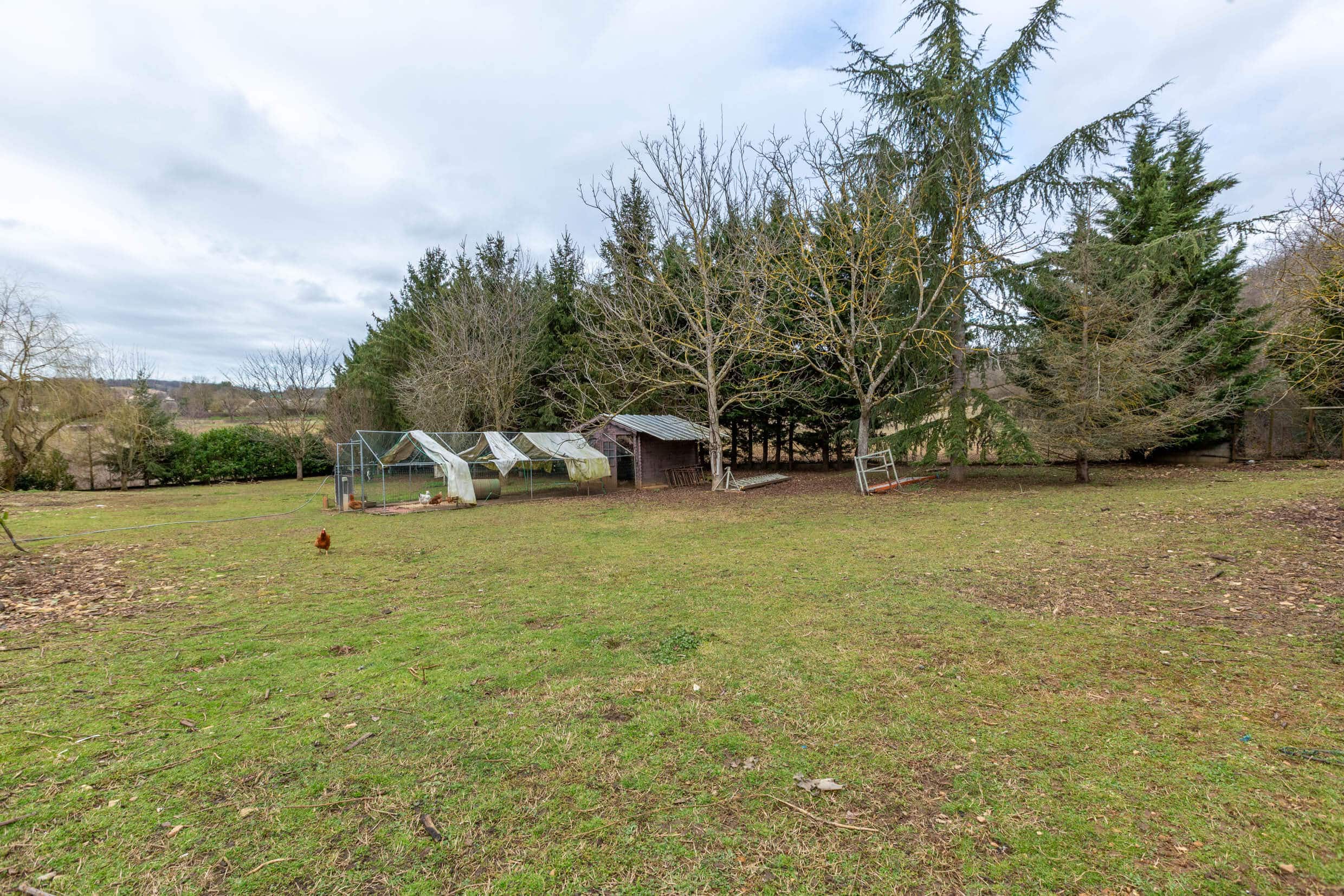 Grand terrain clos et arboré de 5000 m² dans un environnement nature à Saint-Marcel-Bel-Accueil en Isère