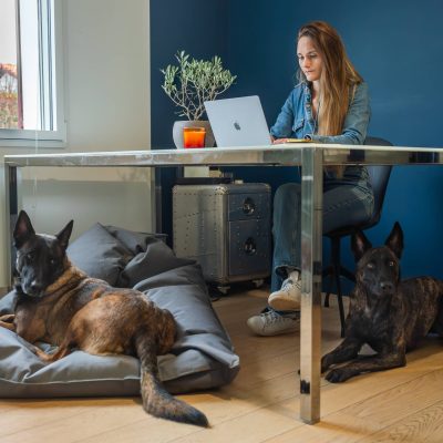 Solenne Legros et son équipe dog-friendly en Est lyonnais